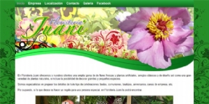 Floristería Juani ya dispone de una vistosa página web floral