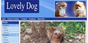 Los cachorros más adorables en la web de Lovely Dog, desarrollada con 